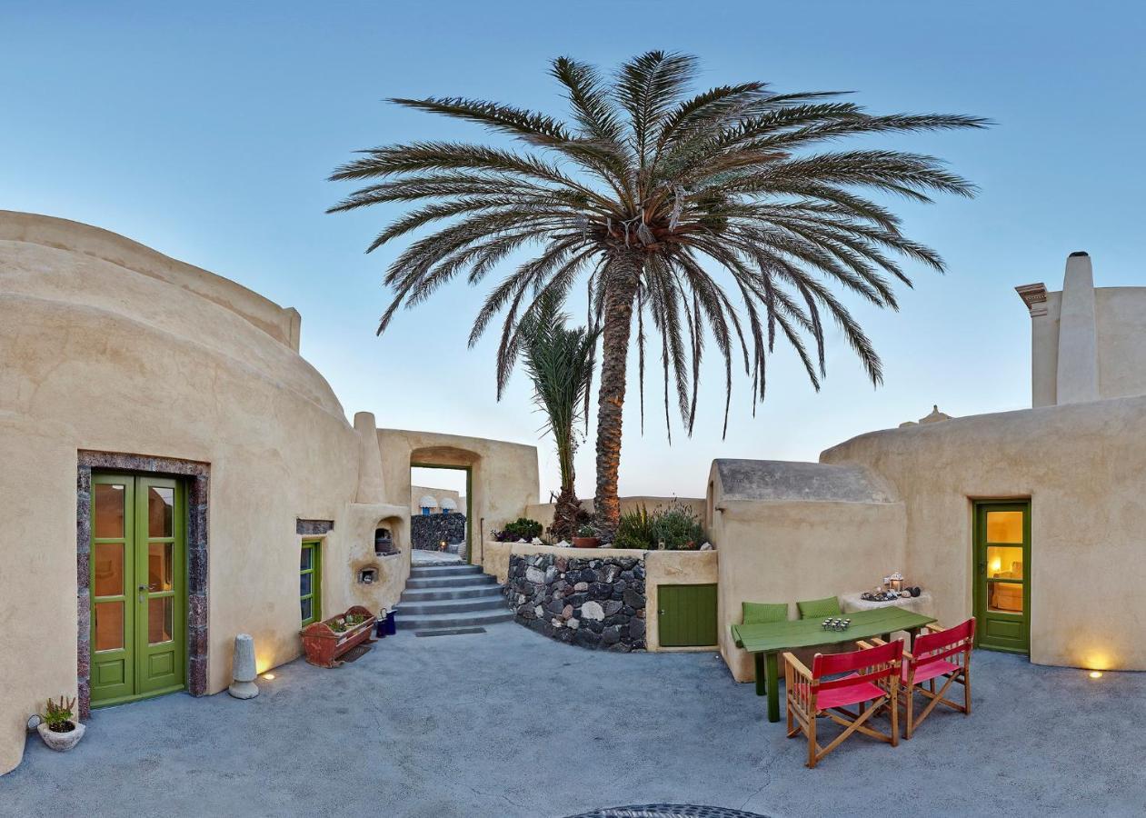 The Palm Tree *